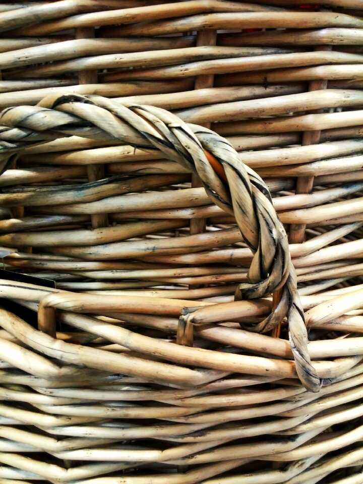 Craft natural willow