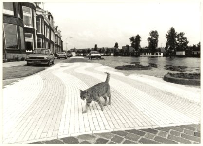 Blauw-witte klinkergolven, bestrating aan het Zuider Buiten Spaarne ontworpen door kunstenaar Jo Klingers. NL-HlmNHA 54023513