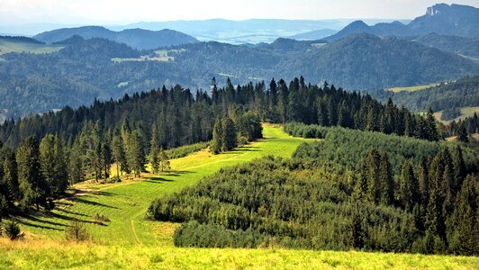 Radziejowej band pieniny forest photo