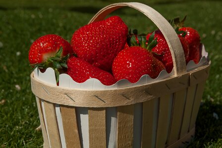 Basket strawberries strawberry fruit photo