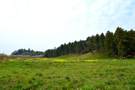 Biwazuka-kofun and Marishitenzuka-kofun -2