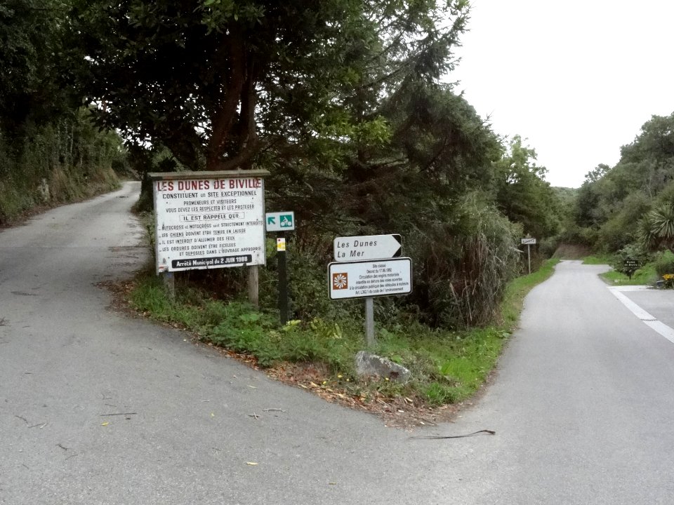 Biville (Manche) route vers les dunes en 2018