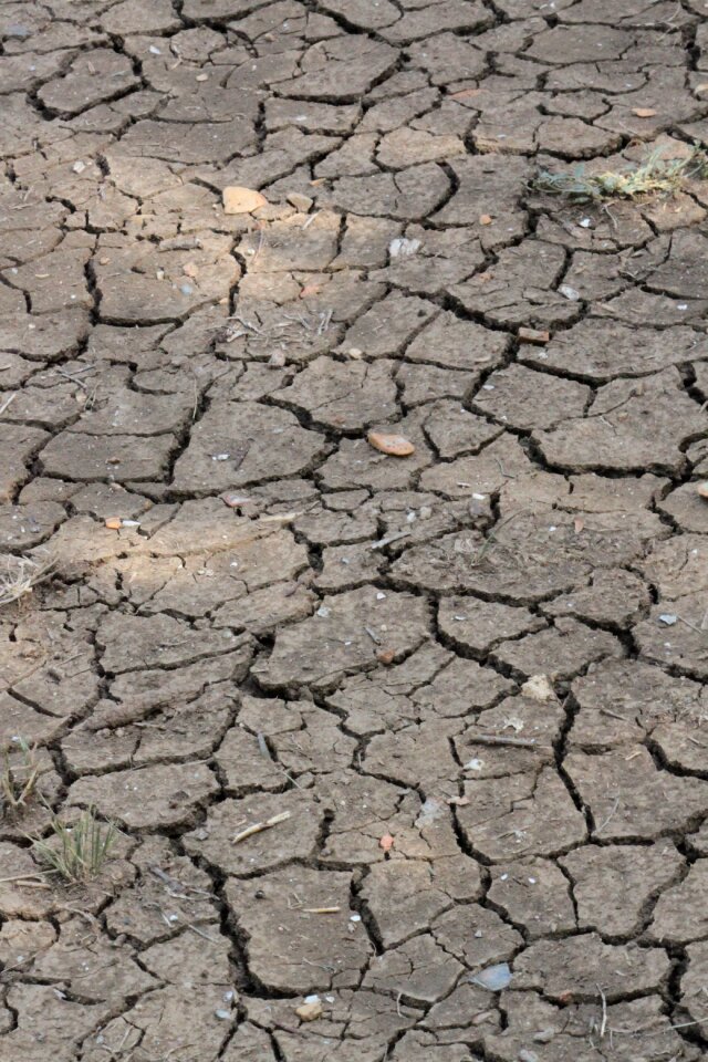 Barren ground pattern