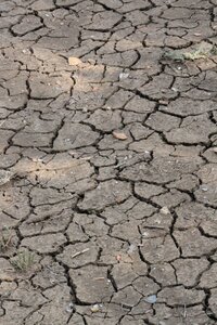 Barren ground pattern photo