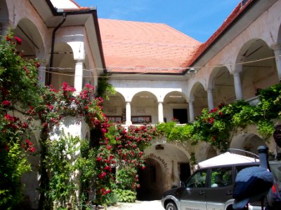 Bizeljsko Castle 15