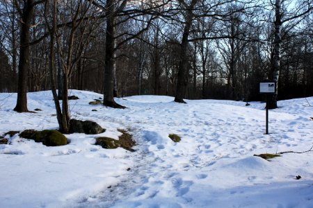 Björklunds hage 2013a
