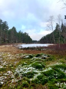 Björnnäset naturreservat - djupsjön
