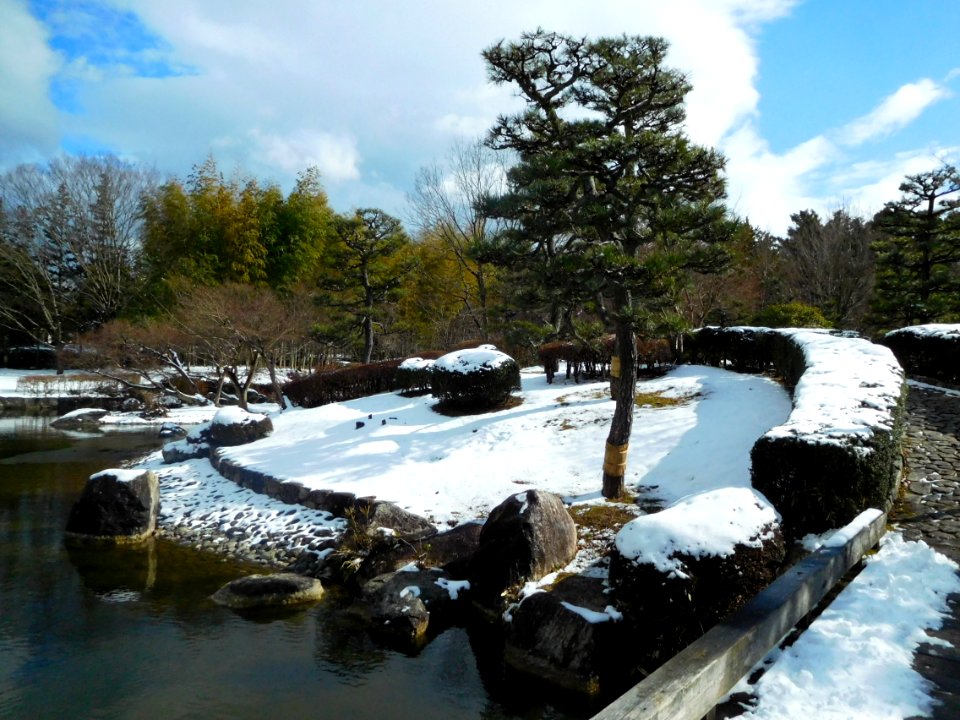 Biwakobunka-koen winter 2461