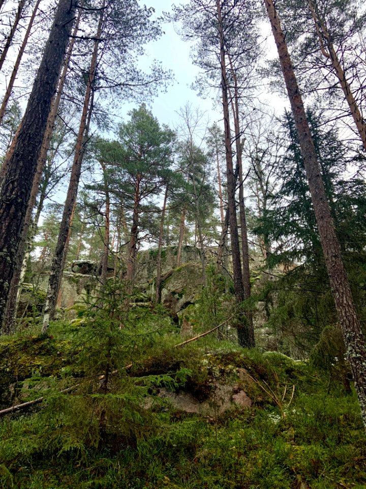 Björnnäset naturreservat - stenar