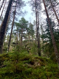 Björnnäset naturreservat - stenar