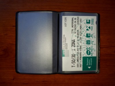 Black vertical credit card holder with 10 pockets - WCf-