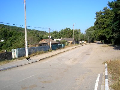 Biyasala 4