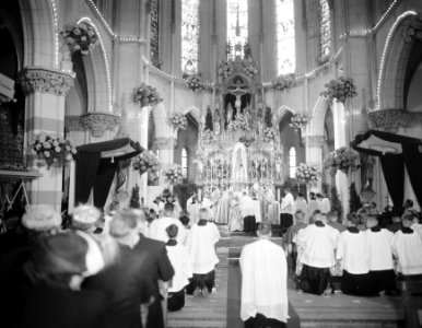 Bisschopswijding mgr. M.A. Jansen Rotterdam, Bestanddeelnr 907-7485