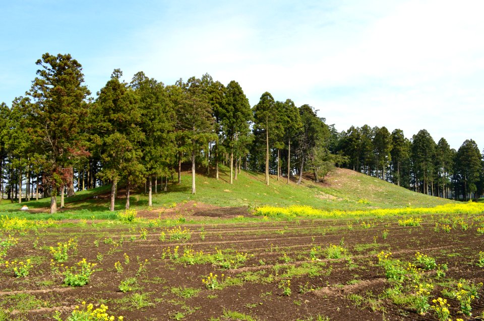 Biwazuka-kofun zenkei