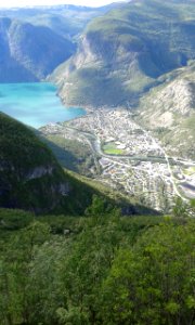 Blåberg