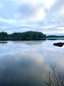 Björnnäset naturreservat - Sågviken, Stora Hammarsjö