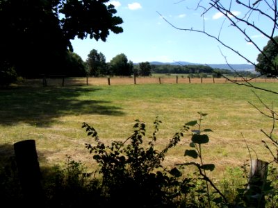 Bizzenbach Blick Wiese R0017133