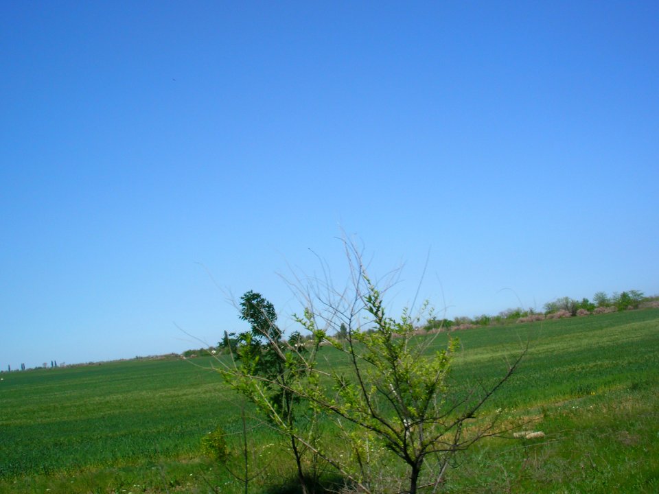 Blagodatnoe 5