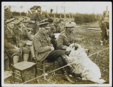Black Watch hold sports whilst resting. The Divisional Commander with the Divisi, Bestanddeelnr 158-0933