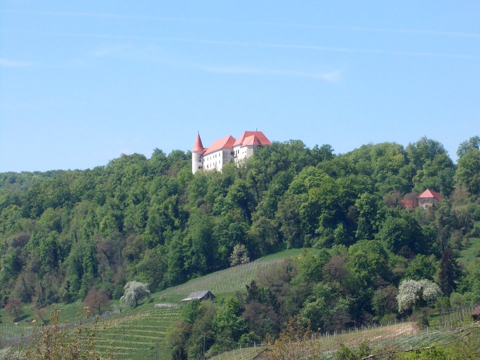 Bizeljsko Castle 01