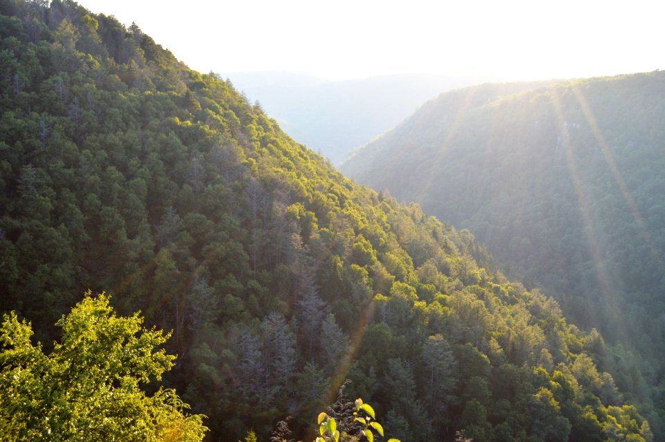 Blackwater Falls State Park, WV 06