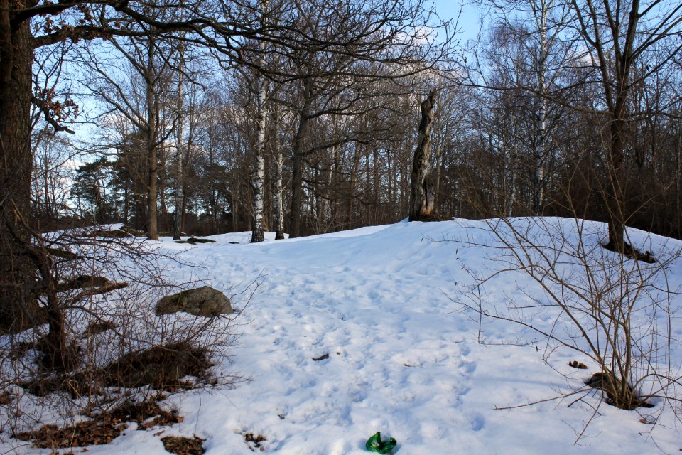 Björklunds hage 2013b