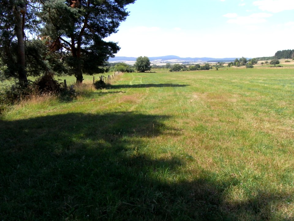 Bizzenbach Blick Wiese R0017136