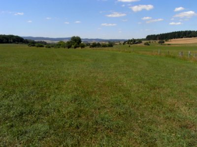 Bizzenbach Blick Wiese R0017140