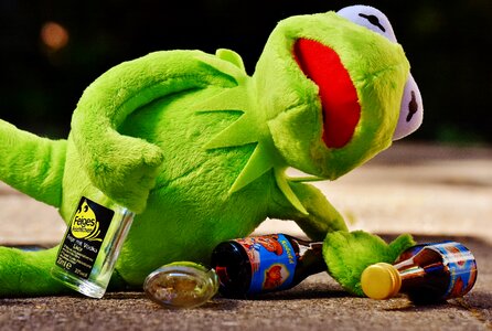 Alcohol drunk rest