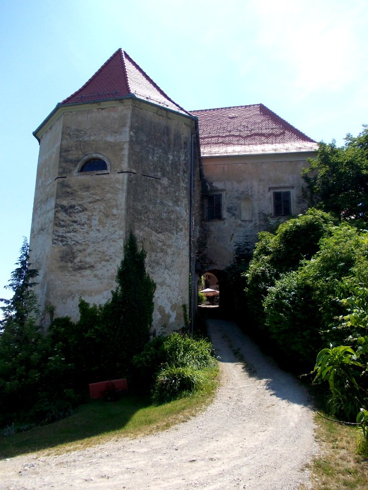 Bizeljsko Castle 12