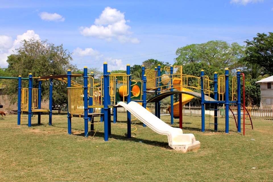 Bullet Tree Falls Playground 3