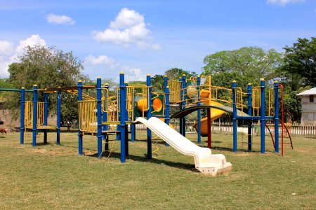 Bullet Tree Falls Playground 3