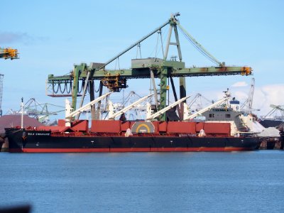 Bulk Endurance (ship, 2016) IMO 9782003, Mississippihaven, Port of Rotterdam pic2