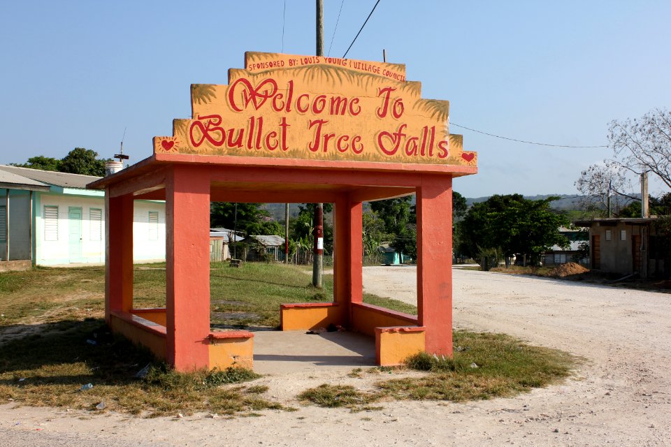 Bullet Tree Falls bus stop