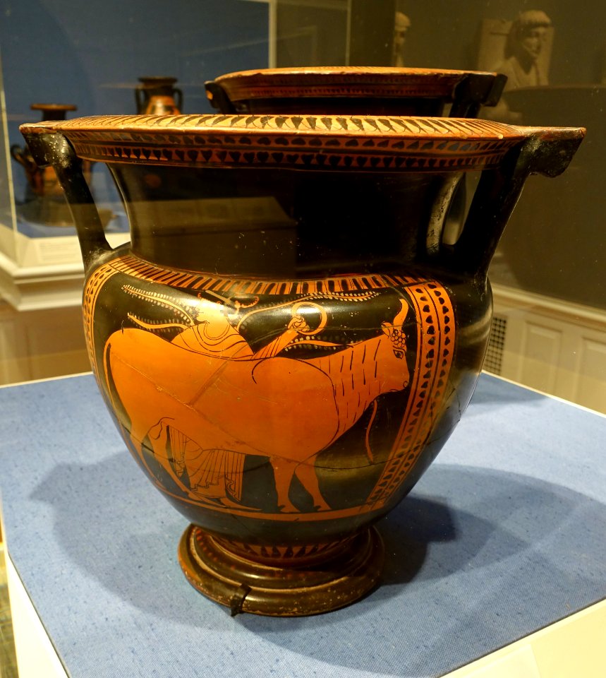 Bull Sacrifice, column krater, by a Pupil of the Nikoxenos Painter, c. 500 BC, painted terracotta - Portland Art Museum - Portland, Oregon - DSC09009