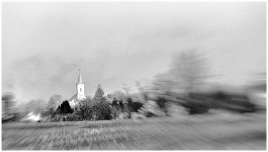 Black White (192478637)