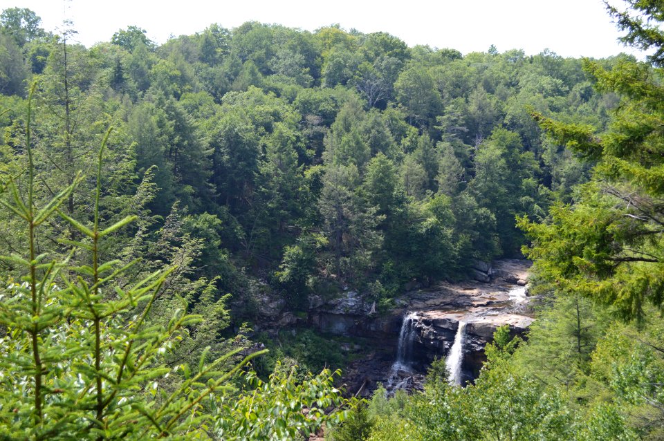 Blackwater Falls State Park, WV 12