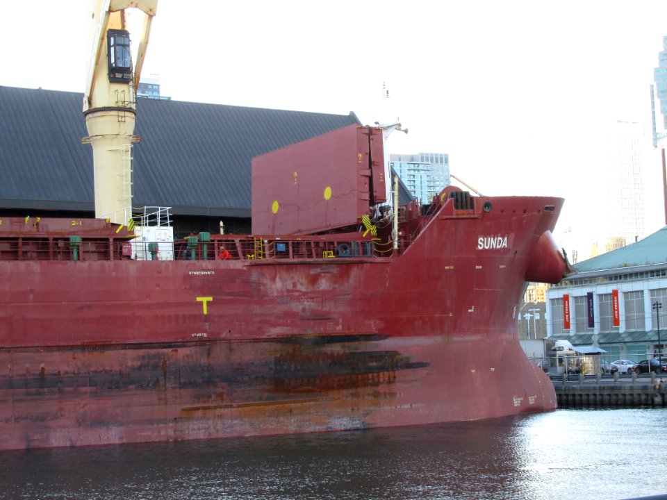 Bulk Carrier Sunda 9498236 03