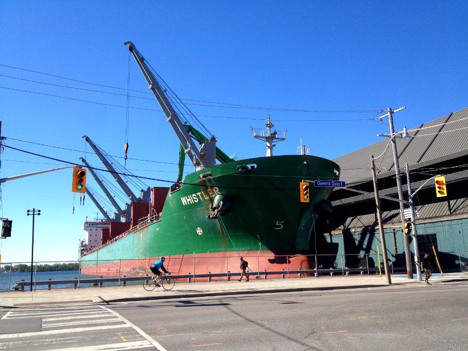 Bulk Carrier Whistler