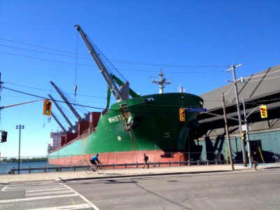 Bulk Carrier Whistler