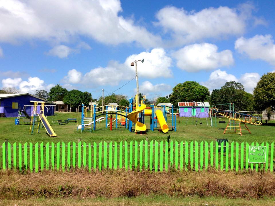 Bullet Tree Falls playground