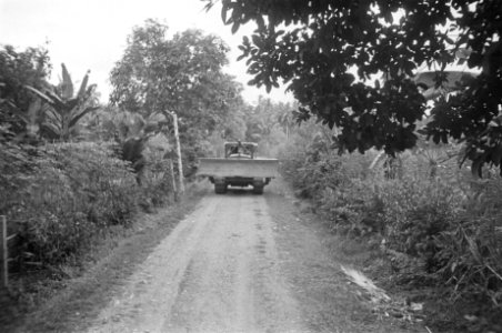 Bulldozer op de weg, Bestanddeelnr 324-6-8
