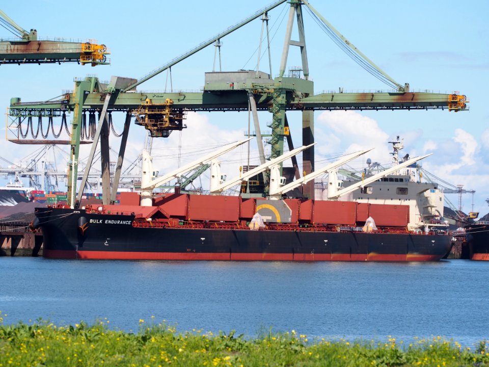Bulk Endurance (ship, 2016) IMO 9782003, Mississippihaven, Port of Rotterdam pic3