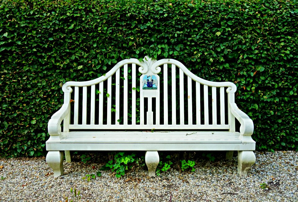 Wood wooden bench sitting