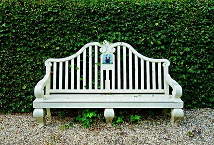 Wood wooden bench sitting photo