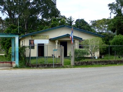 Bullet Tree Falls Police Station