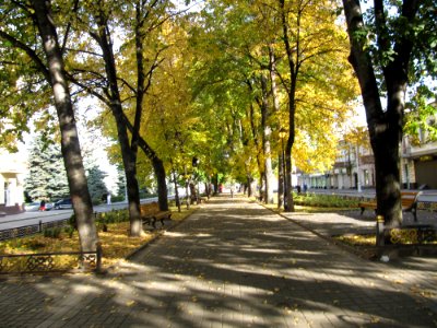 Buljwarvlad