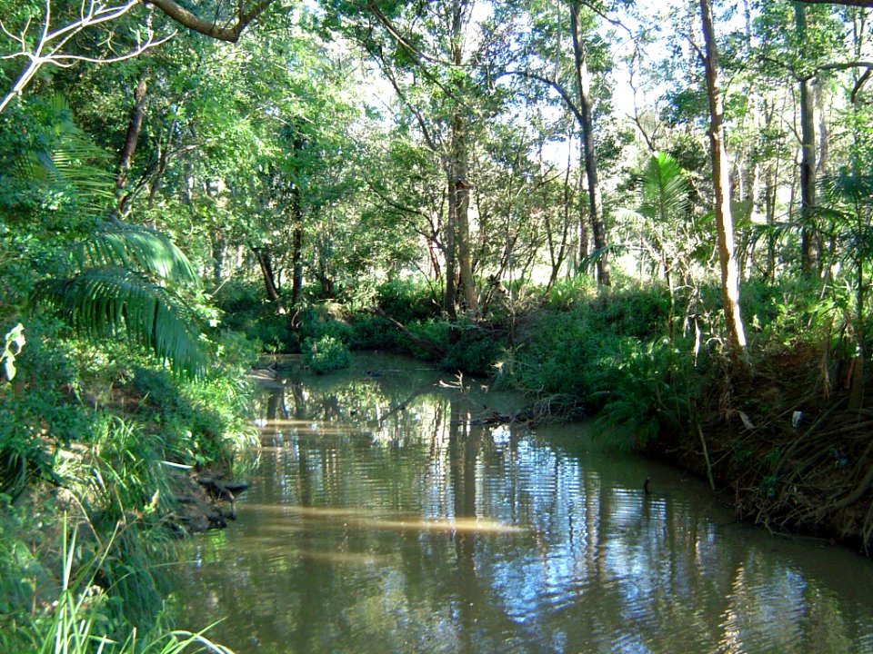 Bulimba Creek Mansfield