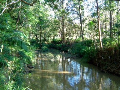 Bulimba Creek Mansfield