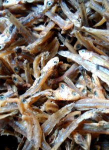 Bulad bolinaw (dried Philippine Anchovies) - Encrasicholina oligobranchus photo